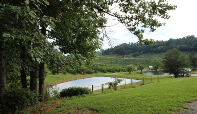 The Orchard Suite: Serenity in nature