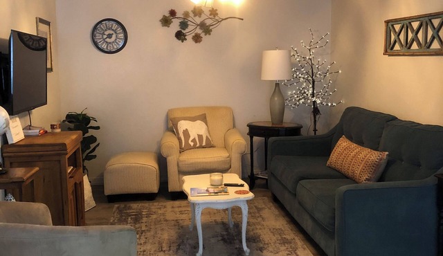 The Original ZZ ZANY ZOO Townhome, with Carport & Garage n #1