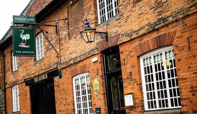 The Ostrich Castle Acre