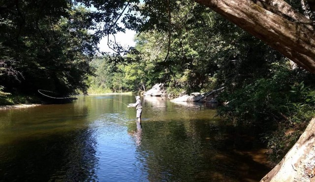The Overlook on South Toe River