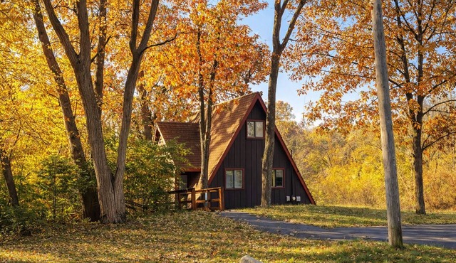 The Owls Perch: Cabin w/Game Room & Pet Friendly
