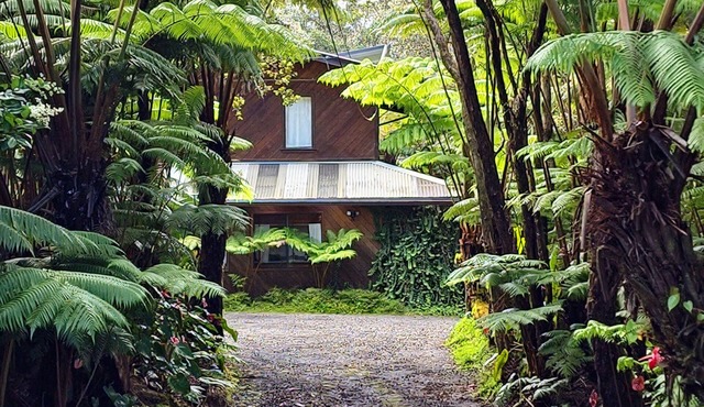 The Pacifica Inn The Gecko Room