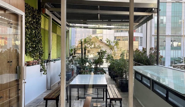 The Packer Lodge - Hostel