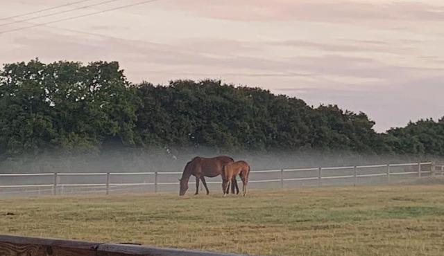 The Paddocks - Spacious annexe with rural outlook.