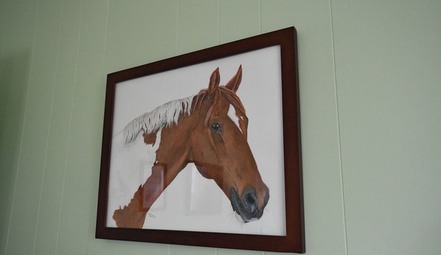 The Painted Pony Cottage at LegUp Stables. Vacation with a Horse!