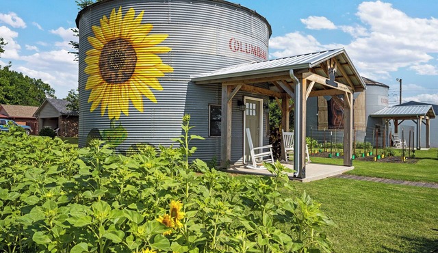 The Painted Silos - The Sunflower Bin. Elgin, Ft Sill and Lawton areas.