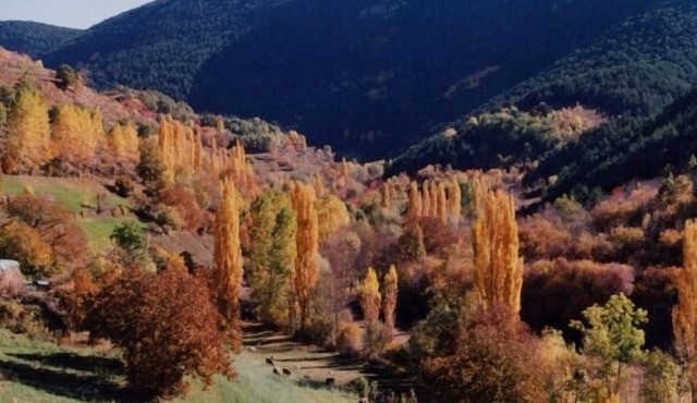 The pallé de cal bosch, spacious rural apartment with magnificent views, Pyrenees