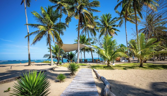 The Palm Bay Club Lodge