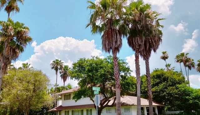 The Palm House Mid Century Modern Historic Palm Blvd