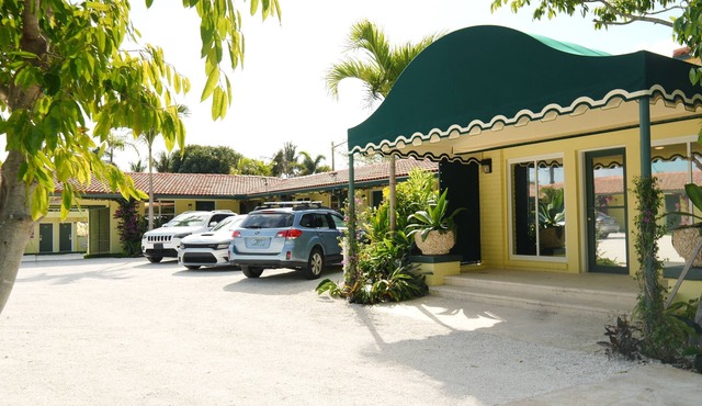 The Palm Rose