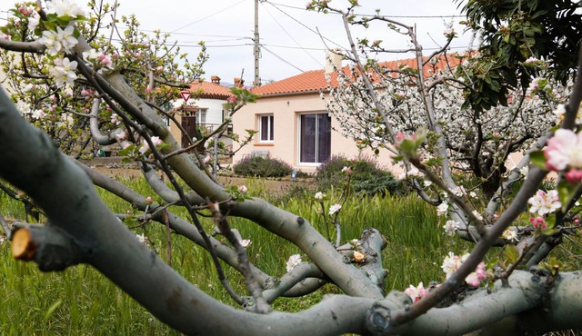 The pavilion: vacations, hiking, spa treatments, festivals, heritage