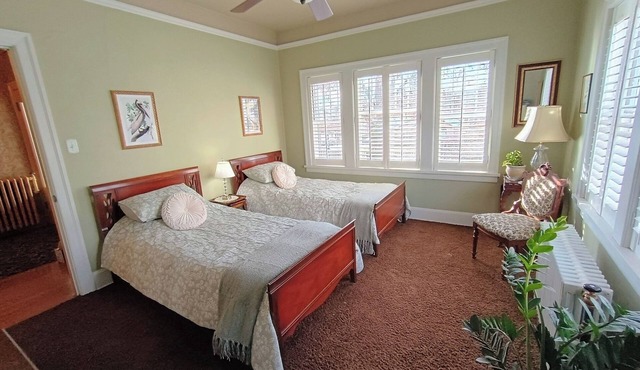 The Pelican - Celebrating Wildlife Conservation