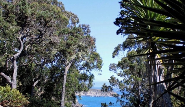 The Pelican Retreat, a rustic apartment with scenic ocean views!