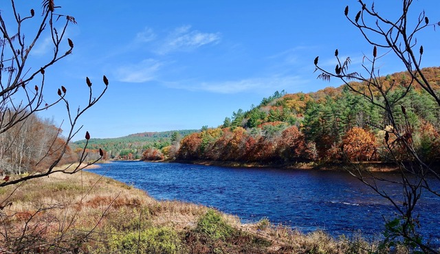 The Perfect Adirondack Getaway Waterfront Cabin