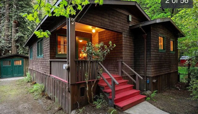 The Perfect Cabin In The Woods At The Russian River - Dog Friendly
