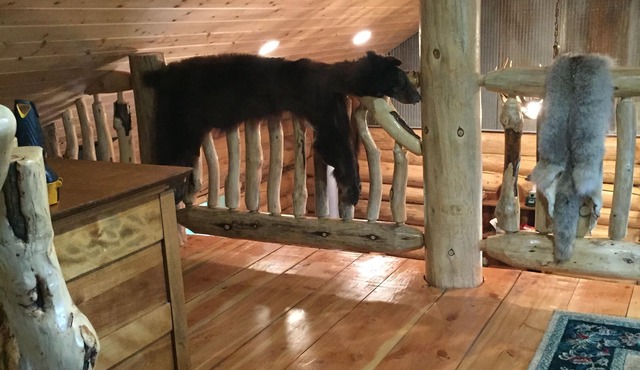 The Perfect 'Get Away' Beautifully Crafted Log Cabin On Private Reservoir