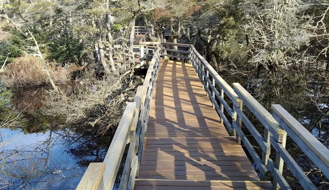 The Perfect Getaway in Wellfleet