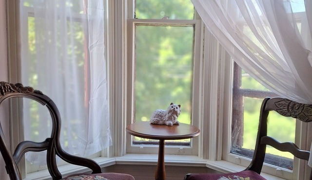 The Persian Room at The Painted Cat B&B - Just a short walk to Main Street!
