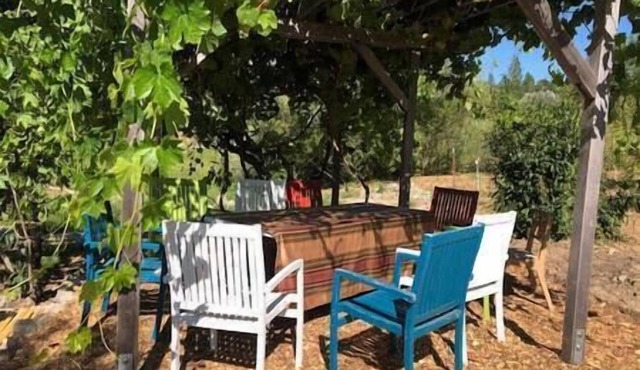 The Phoenix at Willow Springs Near Yuba River