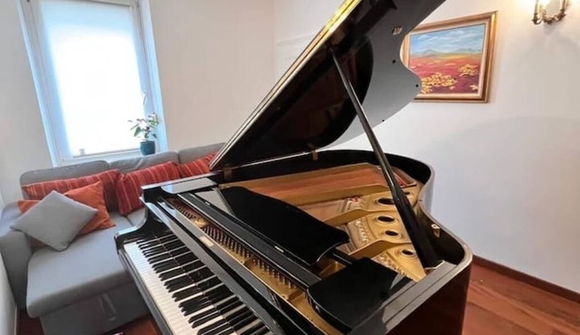 The pianists' stove (10 pl.)