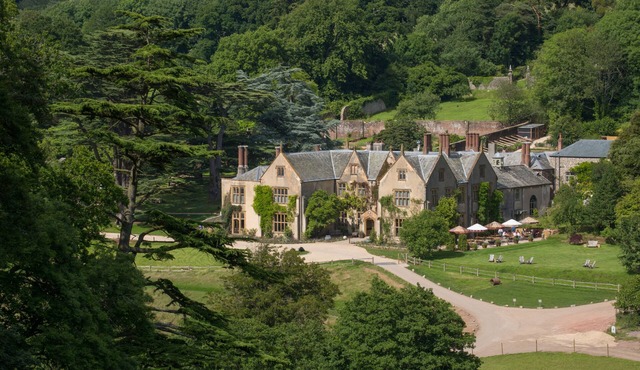 THE PIG at Combe - Devon