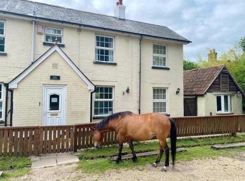 The Pigs' Pantry, Burley