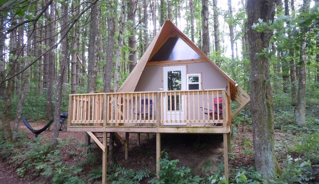 The Pine Treehouse Glamping Cabin at Dragonfly Lake