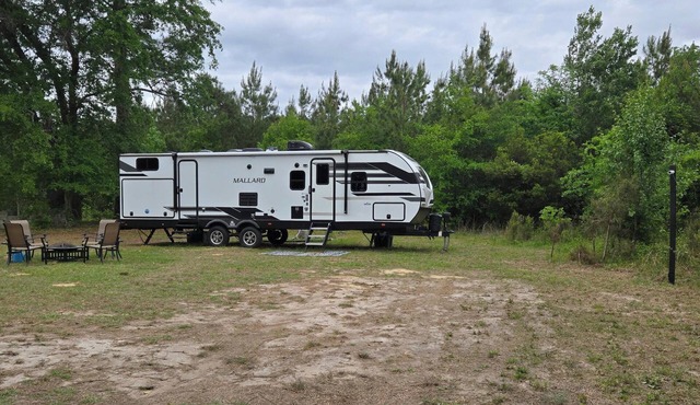 The Pinecone Retreat - Only 1 mile from i95