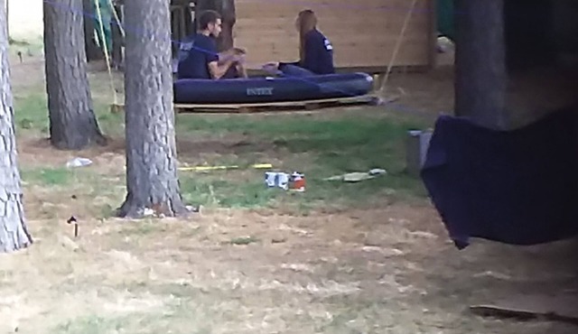 The pines 4 x private chalets