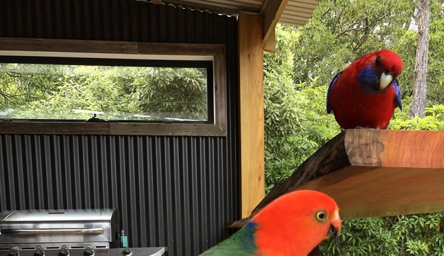 THE PLACE TO BE FOR AN AWESOME HOLIDAY AT LAKE GLENMAGGIE. 5 mins from the lake