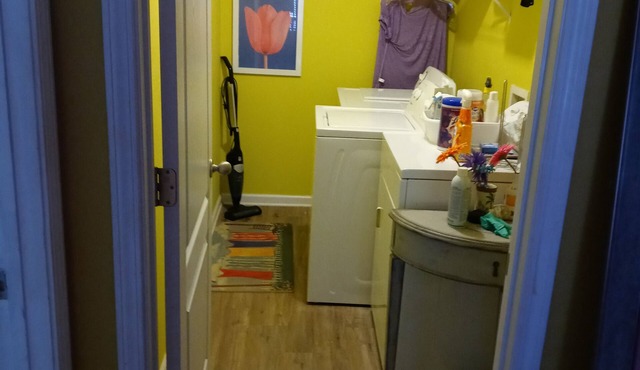 The Place to Bee: with continental breakfast