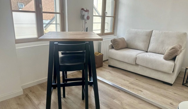 The Platanes Apartment 2: Castles and Beauval