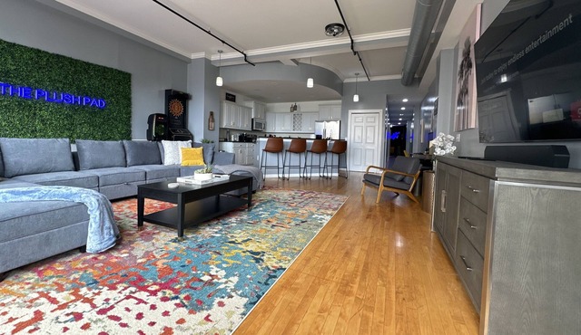 The Plush Pad in the center of downtown Syracuse, NY