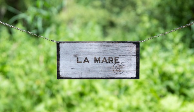 The pond pond a break unusual nights