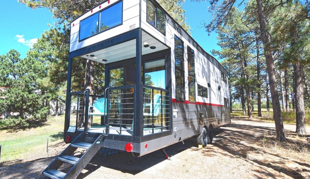 The Ponderosa Perch, a modern tiny home nestled in the pines of Elizabeth