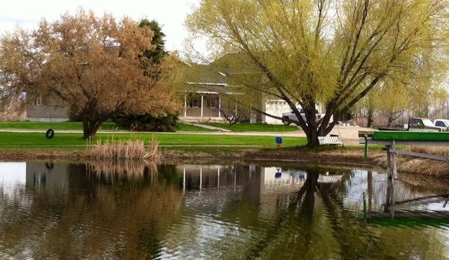 The Ponds-A Working Ranch