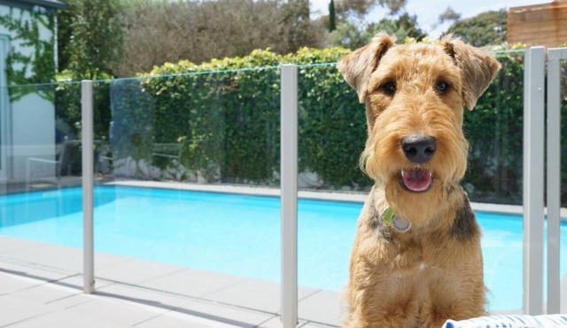 The Portsea Hideaway - Portsea Pool Paradiso