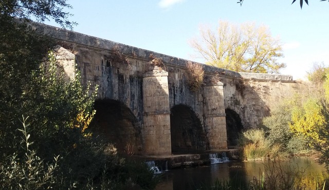 THE POSITION 6. Between Tierra de Campos and the Palentina Mountain