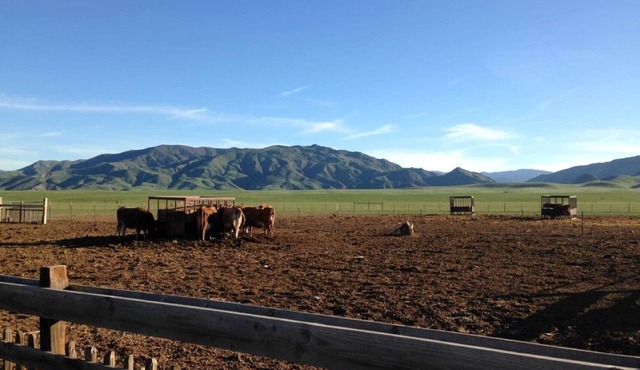 The Post Office Cabin, near Mercy Hotsprings.