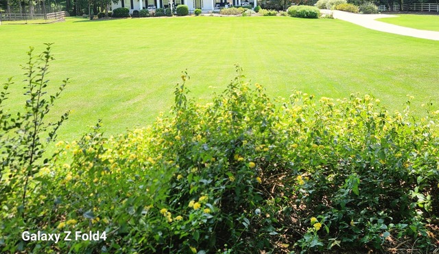 The Potter's Home House on Five Acres close to Trilith studios, Senoia and PTC