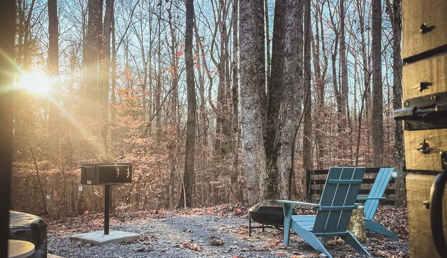 The Premier Mini Modern Cabin is a perfect romantic retreat for two or a peaceful self-indulgent getaway for the one and only you! A luxury suite designed for no more than two. inside you'll find love is in the air with our sleek designs and