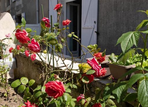 The Pretty Bucolic House