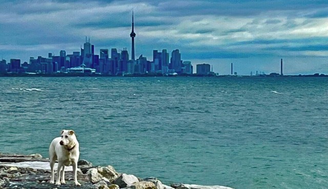 The Prince Of Wales Suite On The Park. New Listing