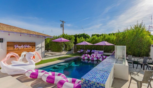 The Purple Palm: 88° Heated Pool Purple Light Show