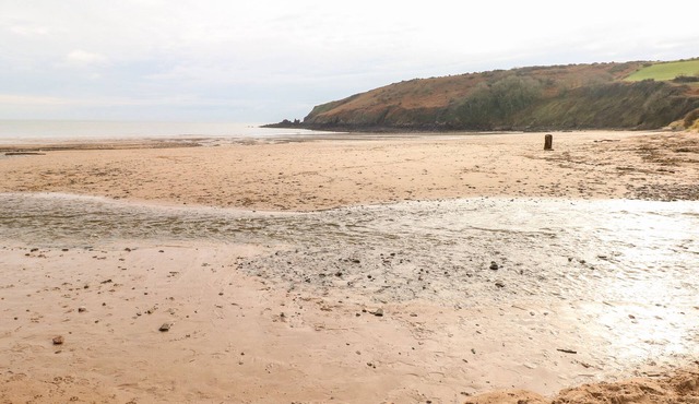 THE QUEEN BEE, pet friendly, with open fire in Lamphey