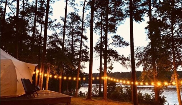 The Queen BEE (Tent)