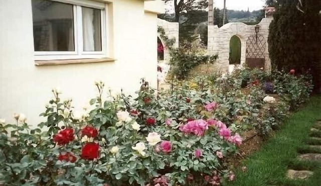 The quietness in the countryside, close to the sea