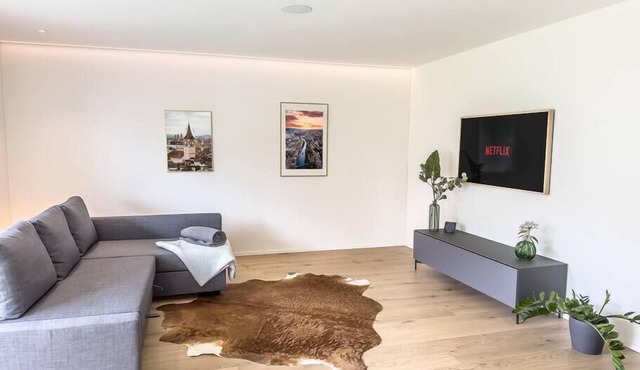 The R Apartment Uetliberg Parken - Wallbox