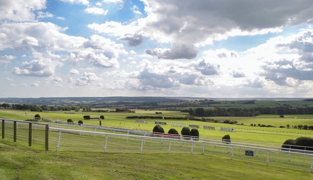 The Racecourse Lodge