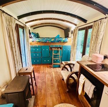 The Railway Carriage - Blue